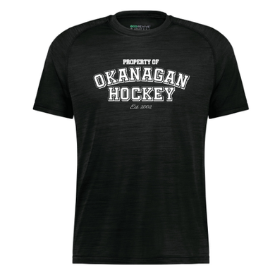 OHA 2025 Men's All Pro T-Shirt